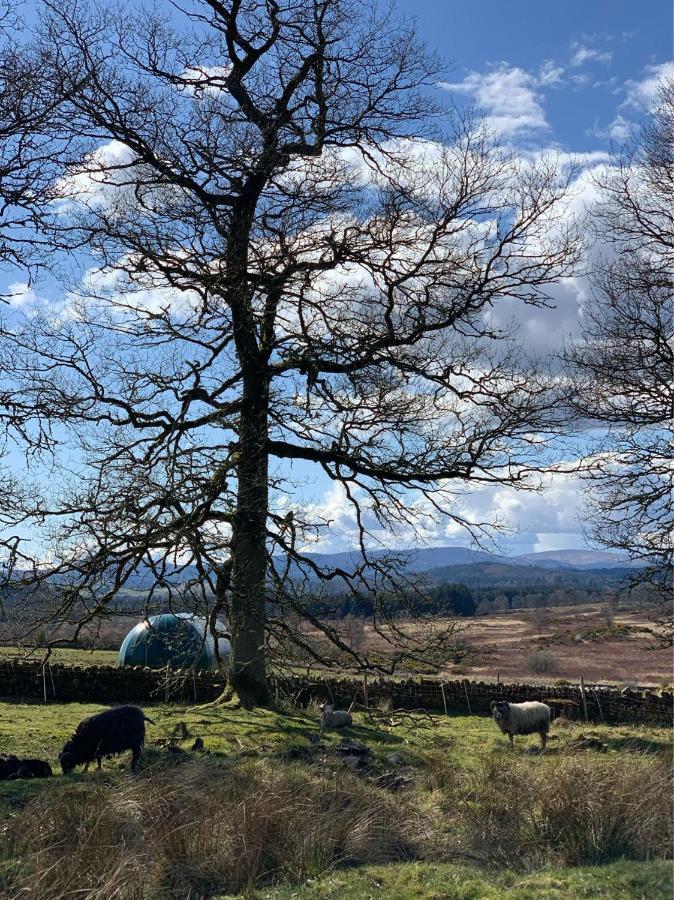 Cardross Estate Glamping Pods Hotell Stirling Eksteriør bilde