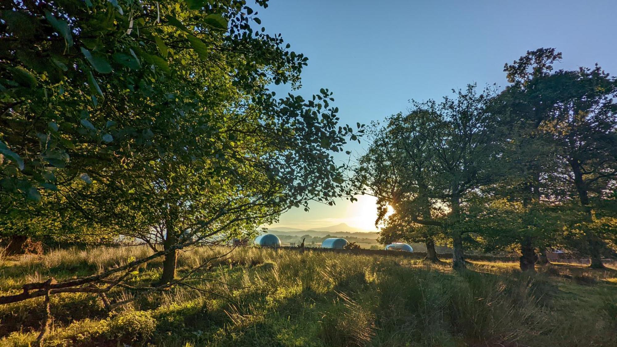 Cardross Estate Glamping Pods Hotell Stirling Eksteriør bilde